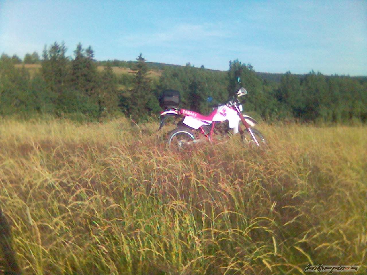 Photo 1187336