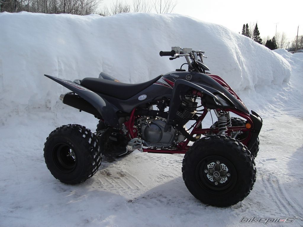 Photo 1187456