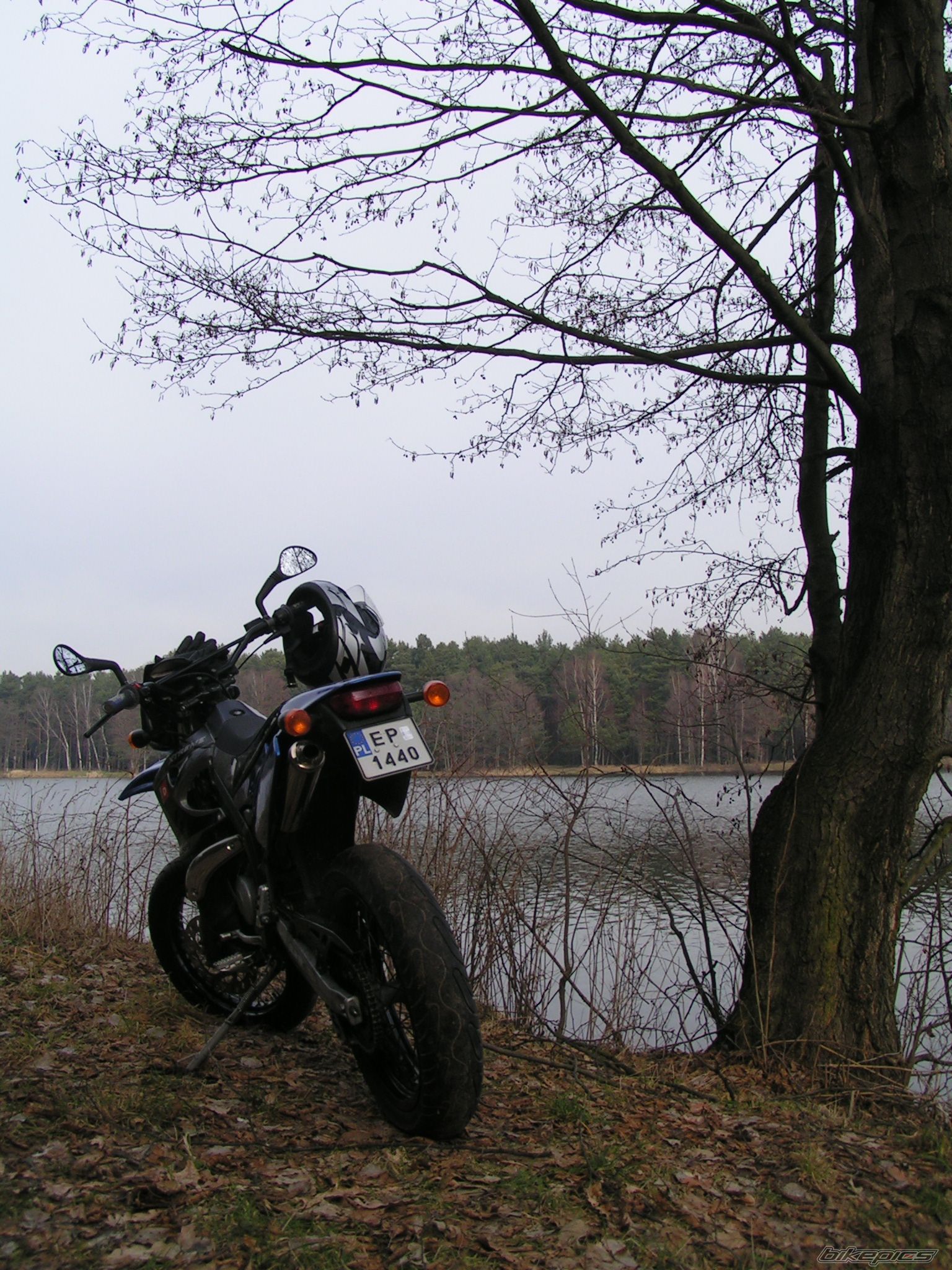 Photo 1187732