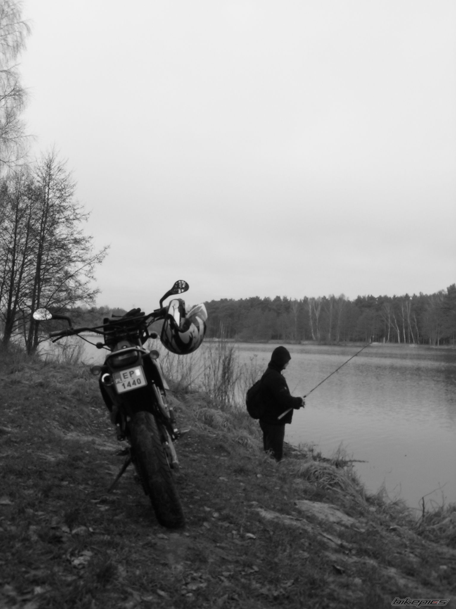 Photo 1187741