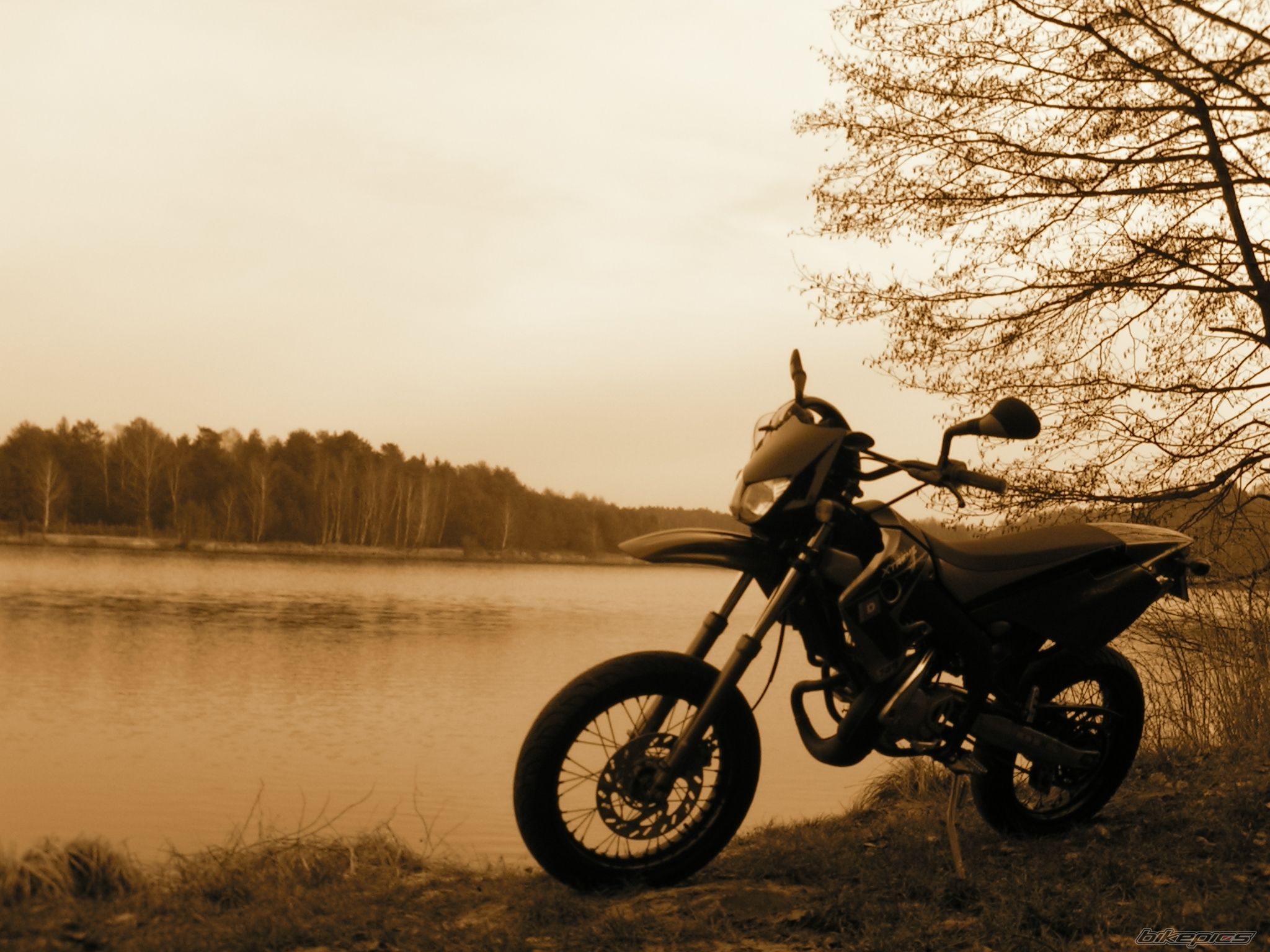 Photo 1187742