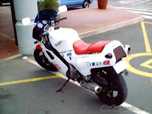 Photo 11880