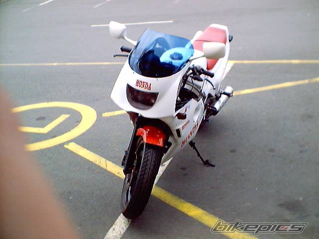 Photo 11881