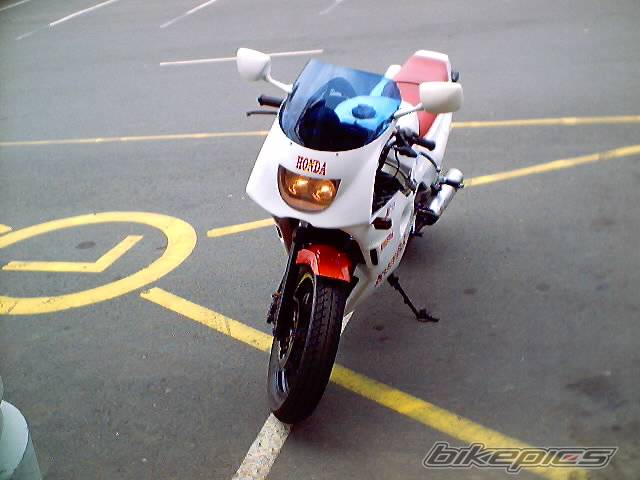 Photo 11882