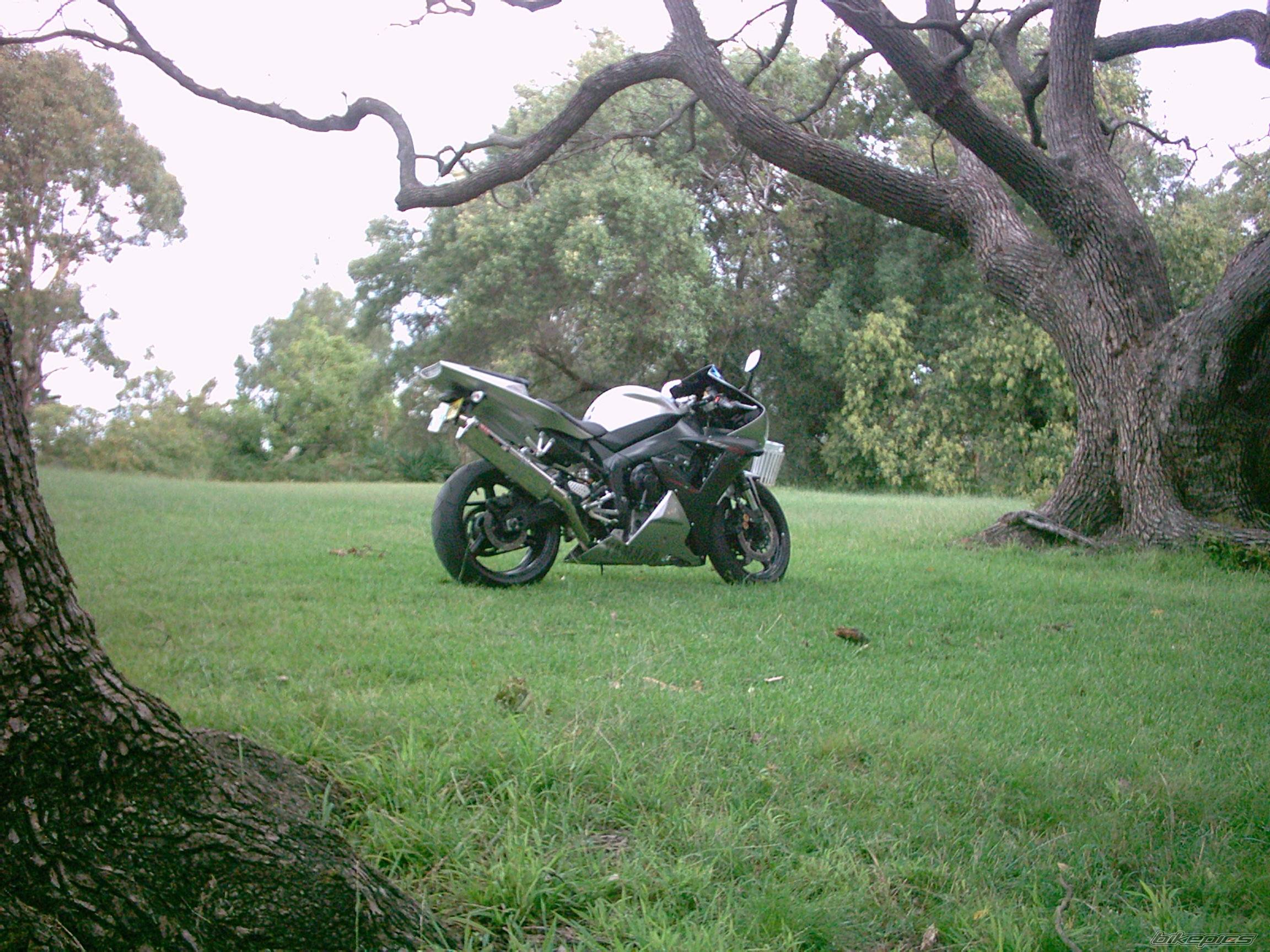 Photo 118837