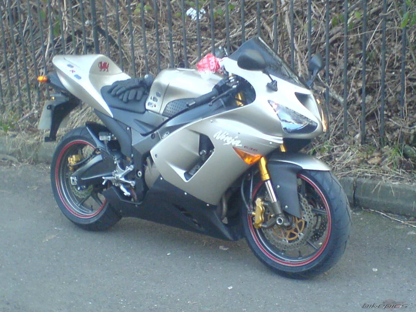 Bike Photo 1188385