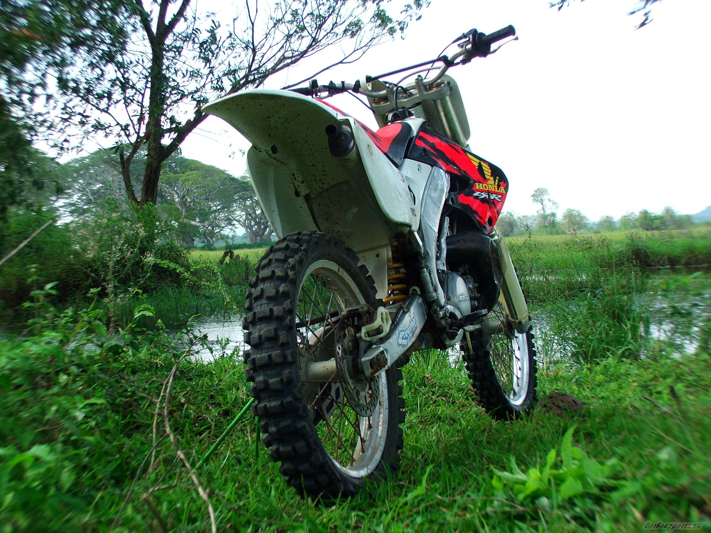 Bike Photo 1188922