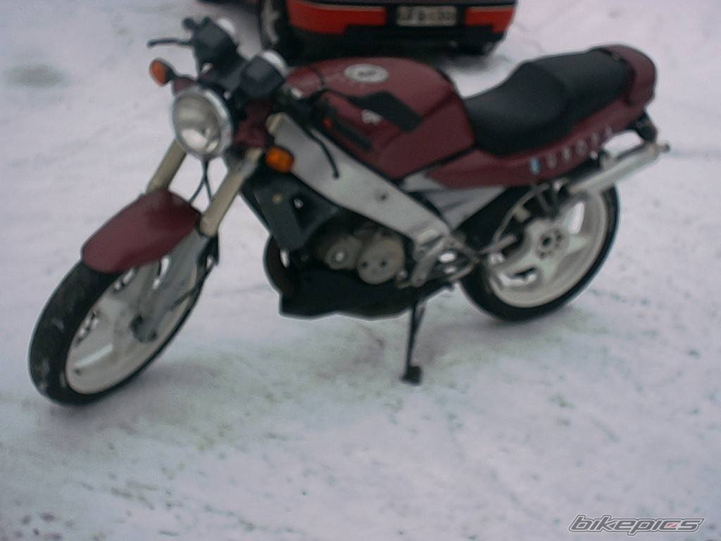 Photo 118914