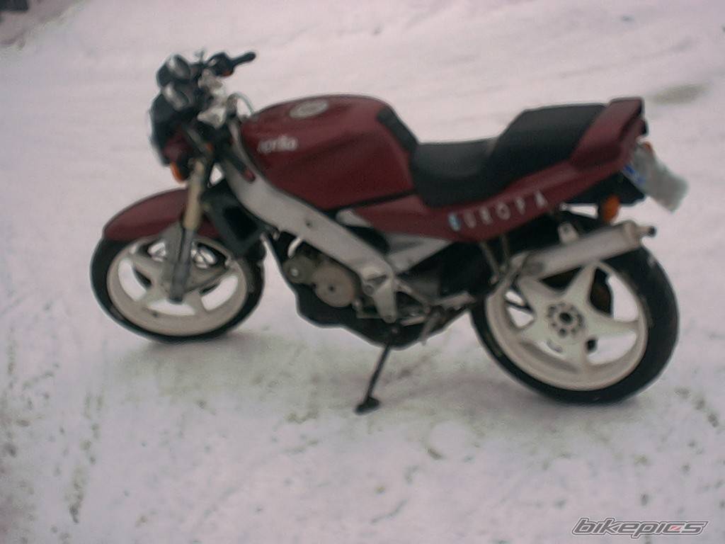 Photo 118916
