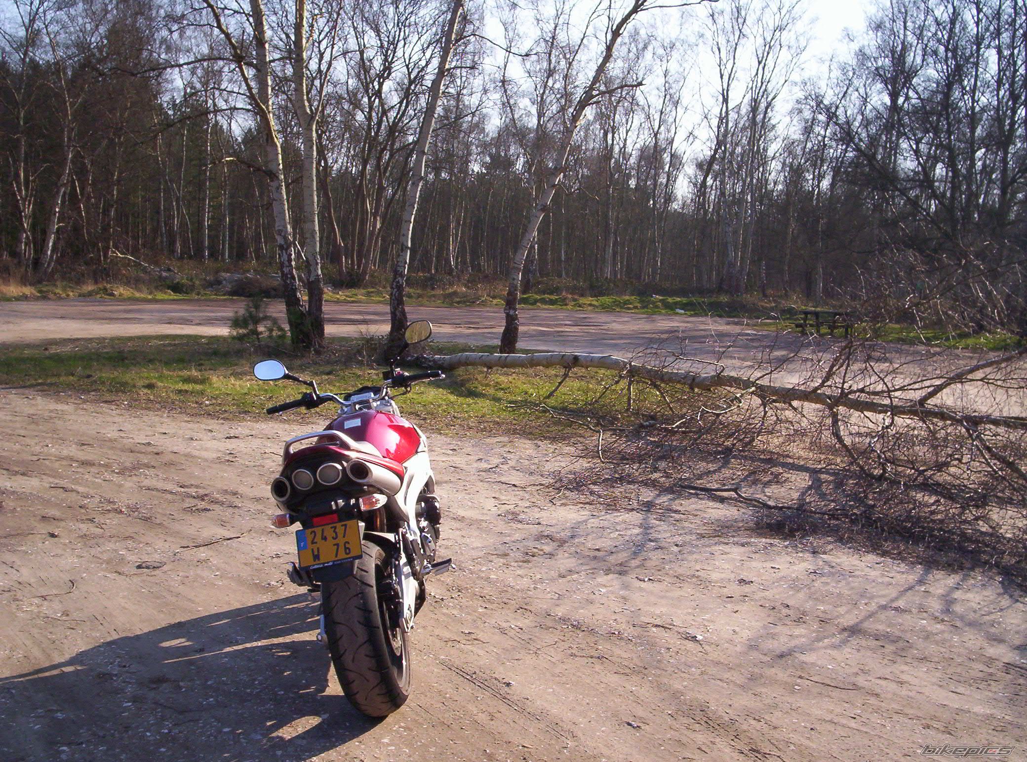 Bike Photo 1189357