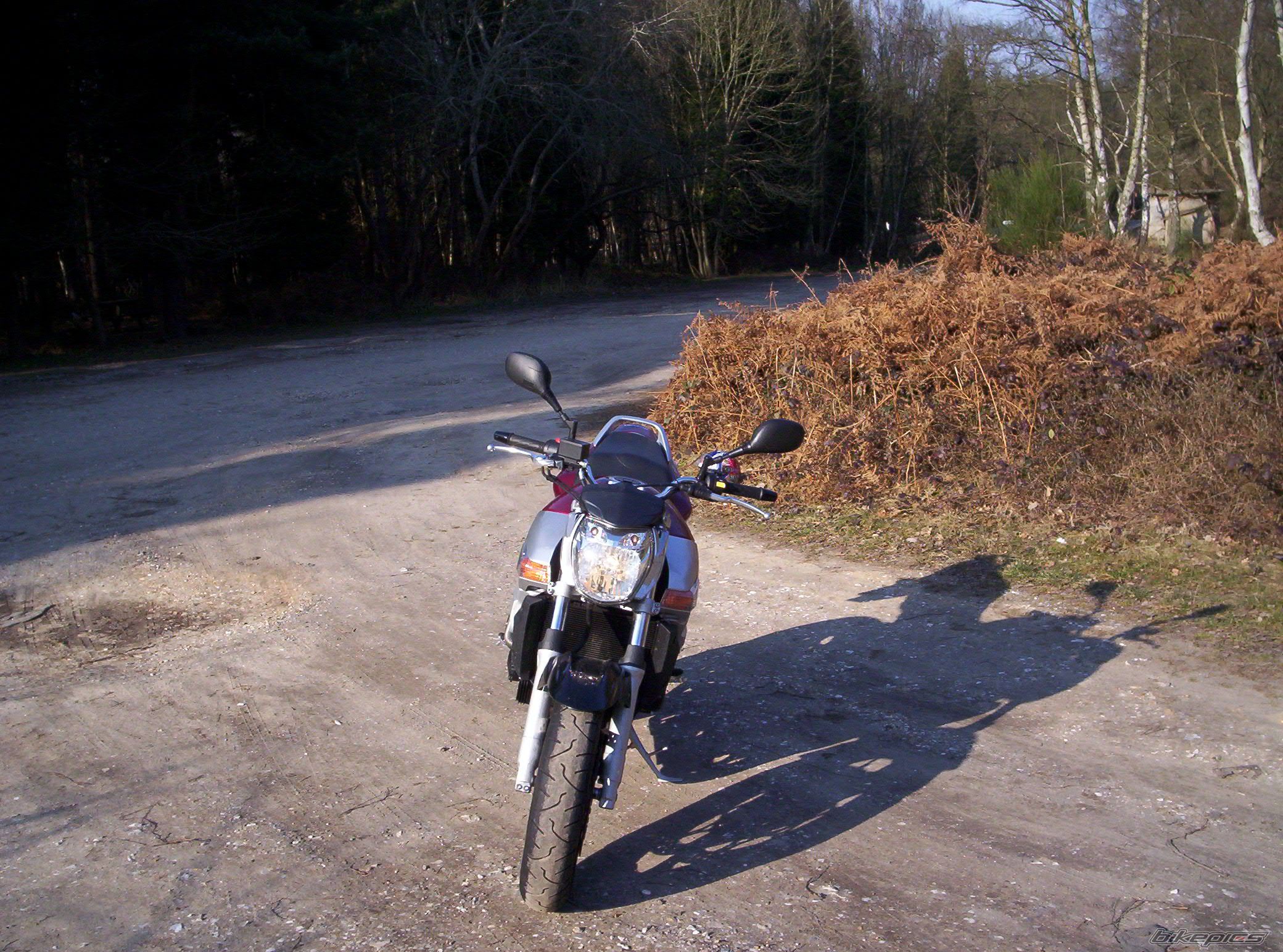 Bike Photo 1189359