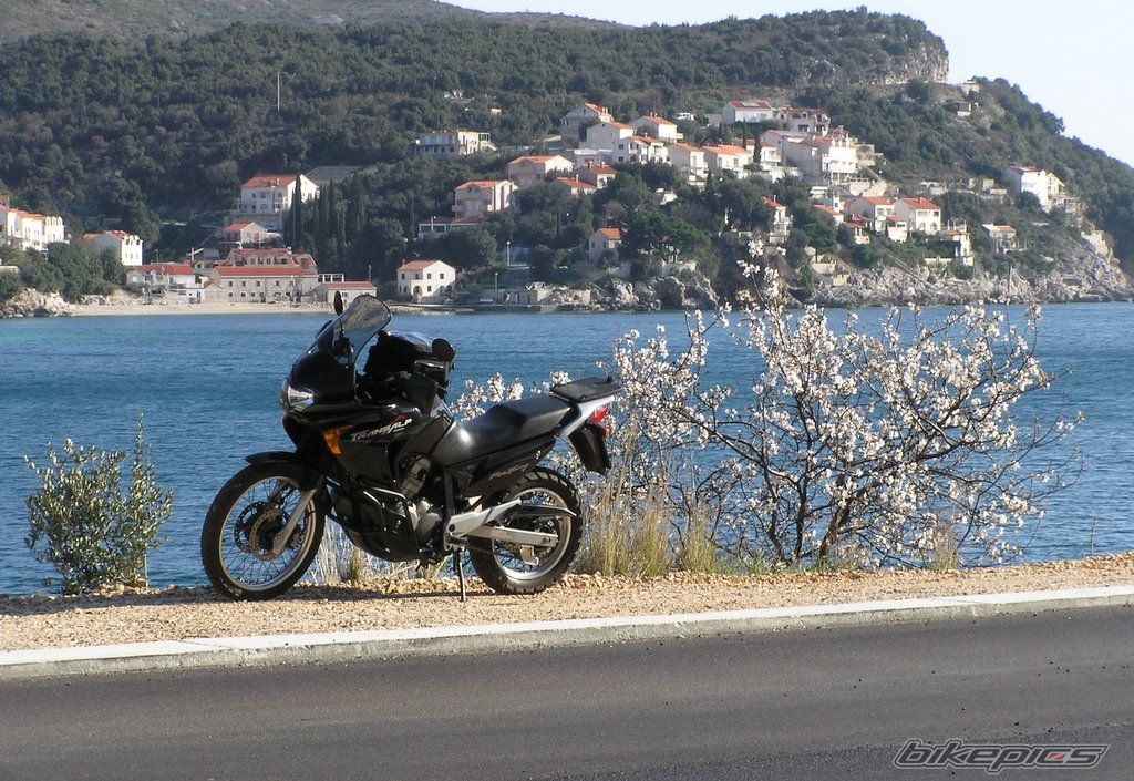 Bike Photo 1189655