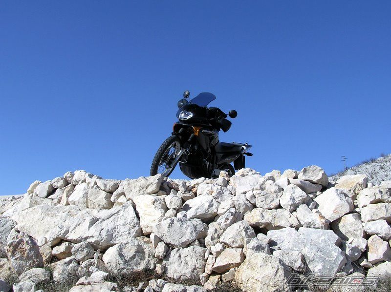 Bike Photo 1189660