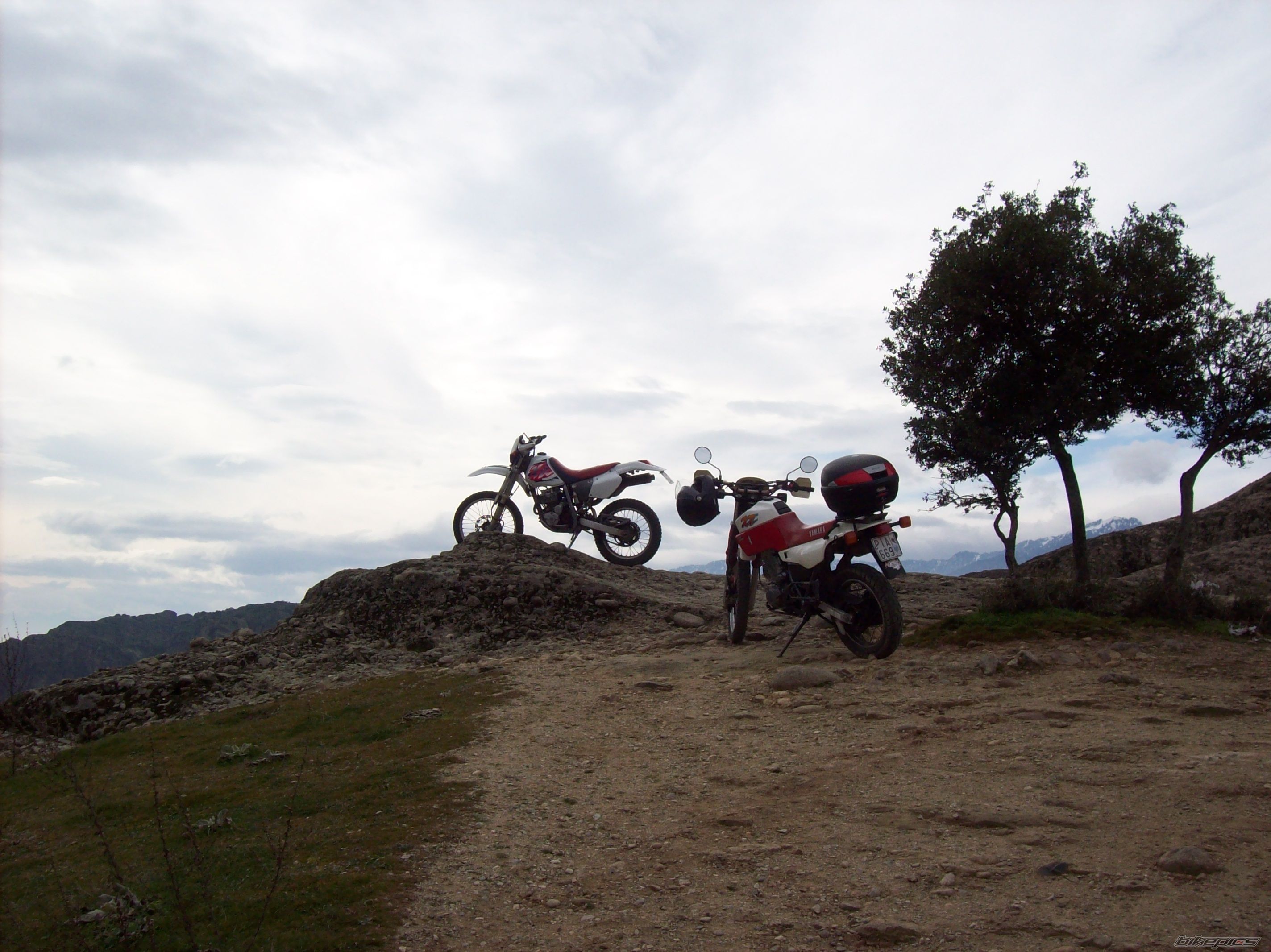 Bike Photo 1190123