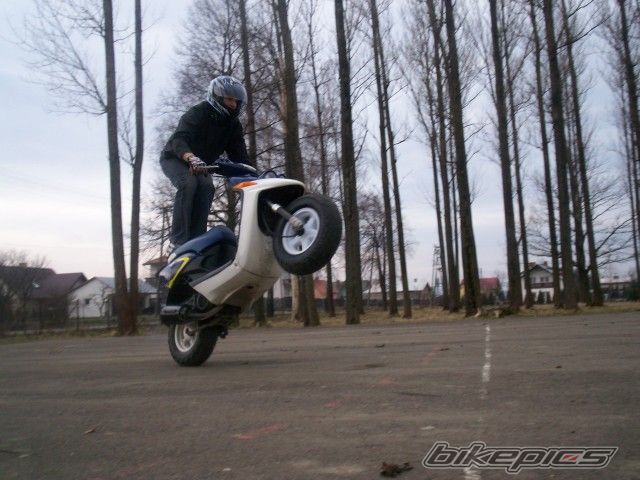 Photo 1190314