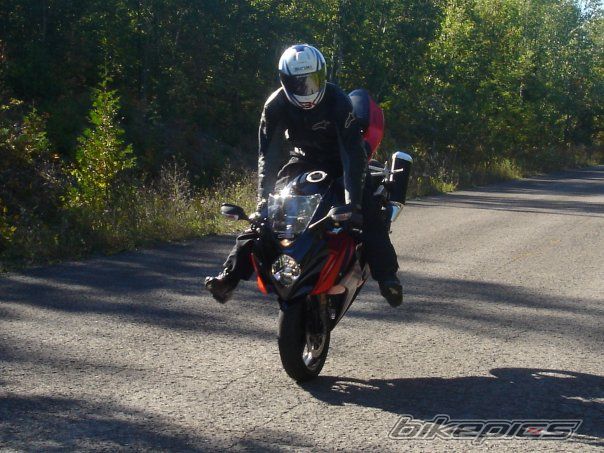 Photo 1190339