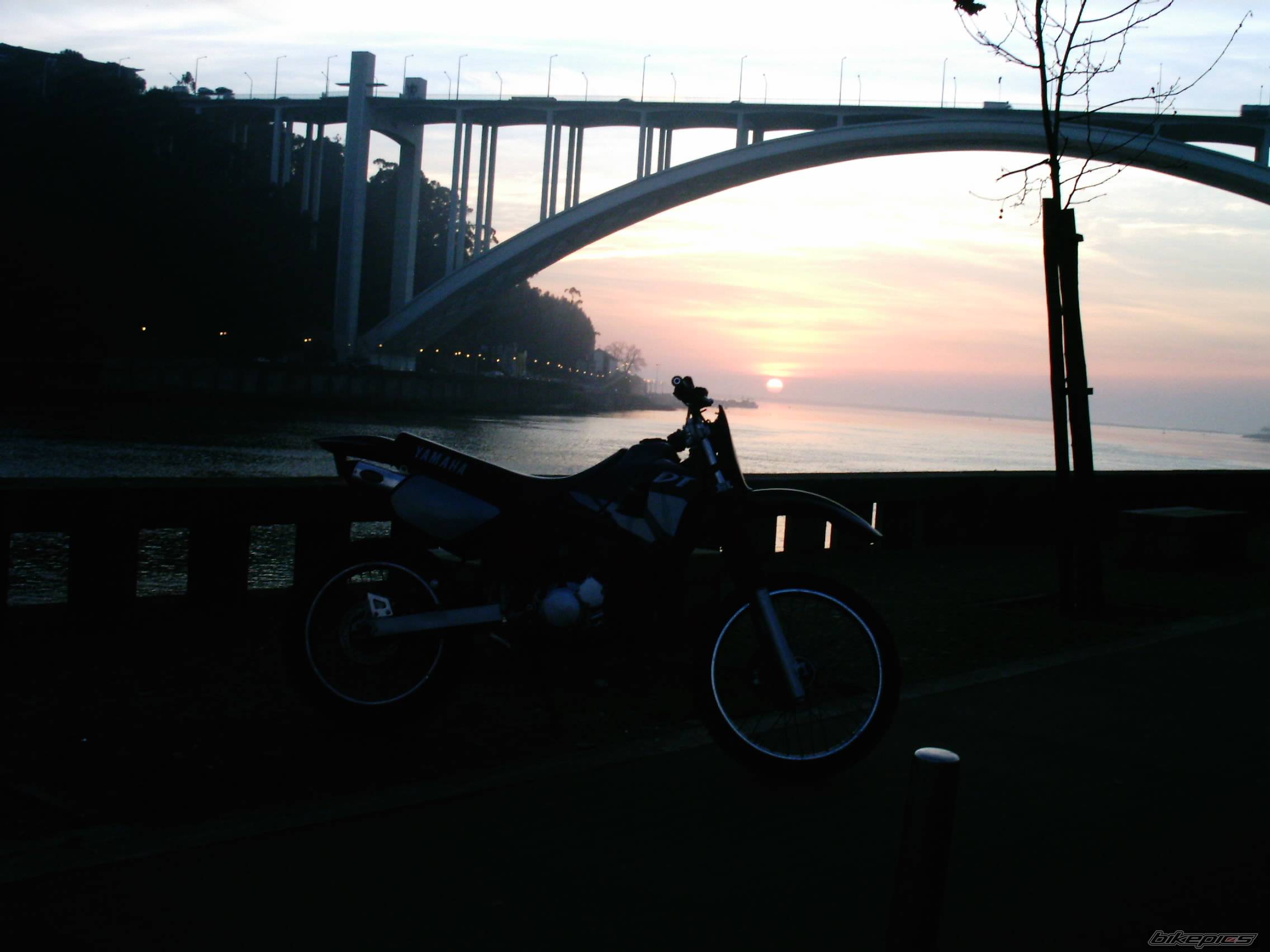 Bike Photo 119035