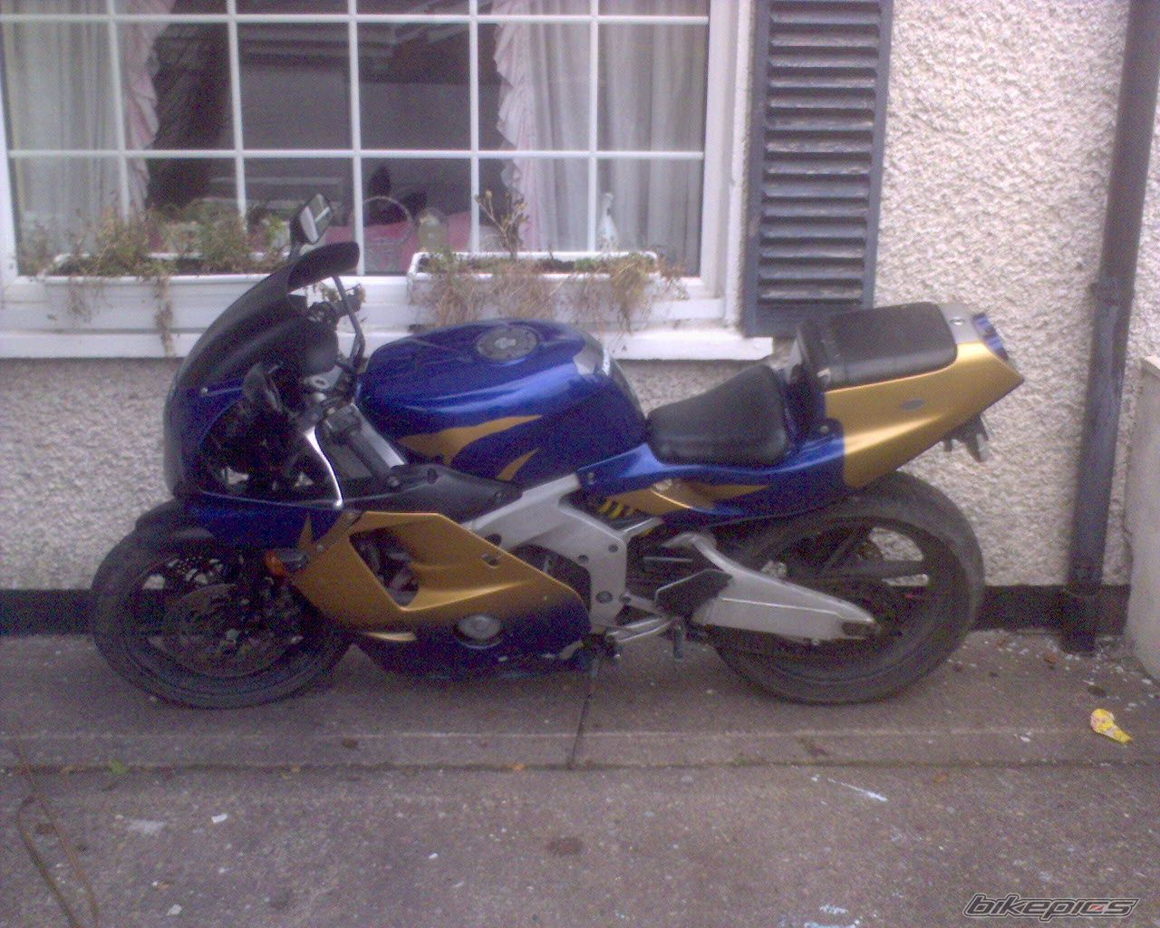 Photo 1190864