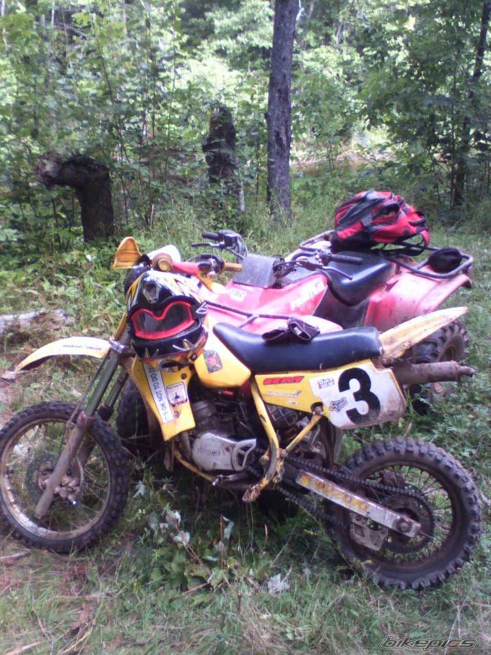 Photo 1190885