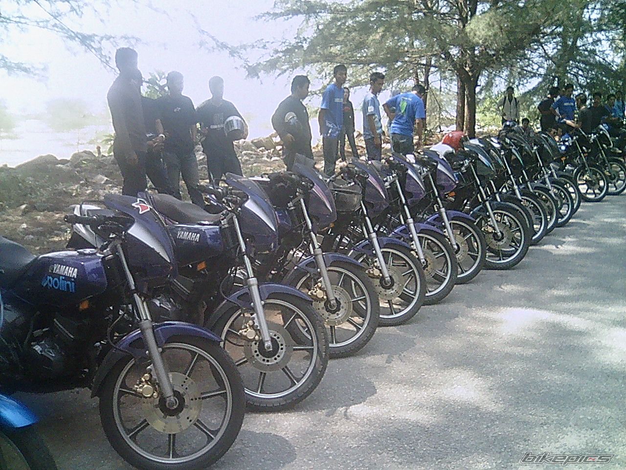 Photo 1190912