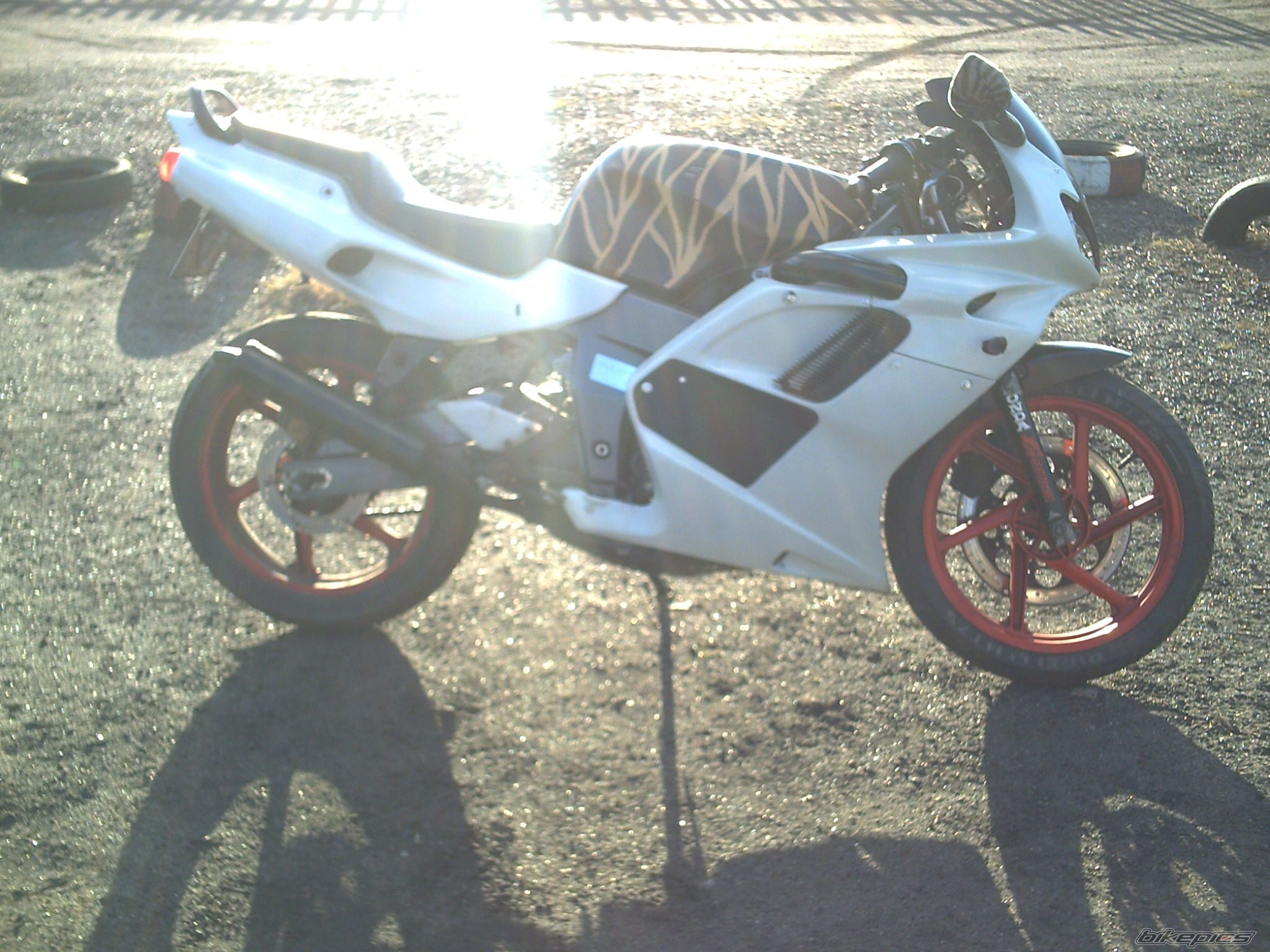 Photo 1190988