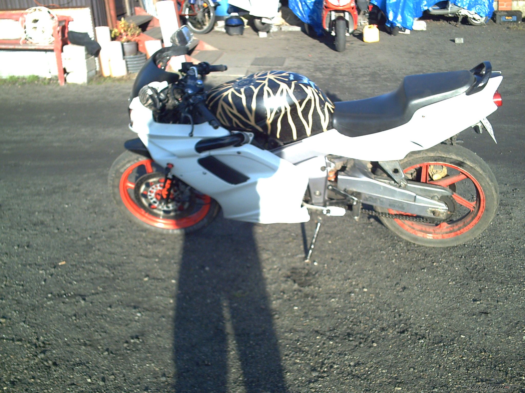 Photo 1190992