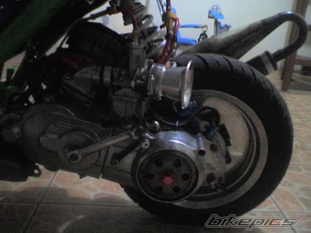 Photo 1191119