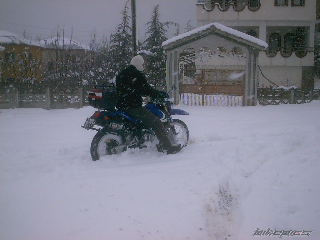 Photo 1191150