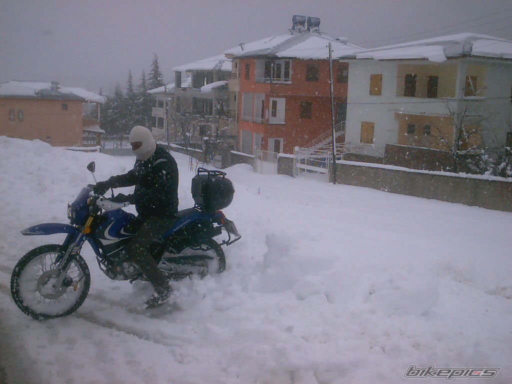 Photo 1191161