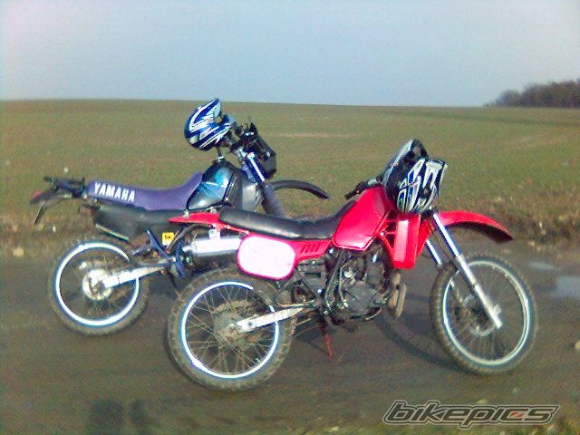 Photo 1191317