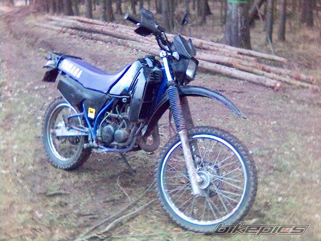 Photo 1191318