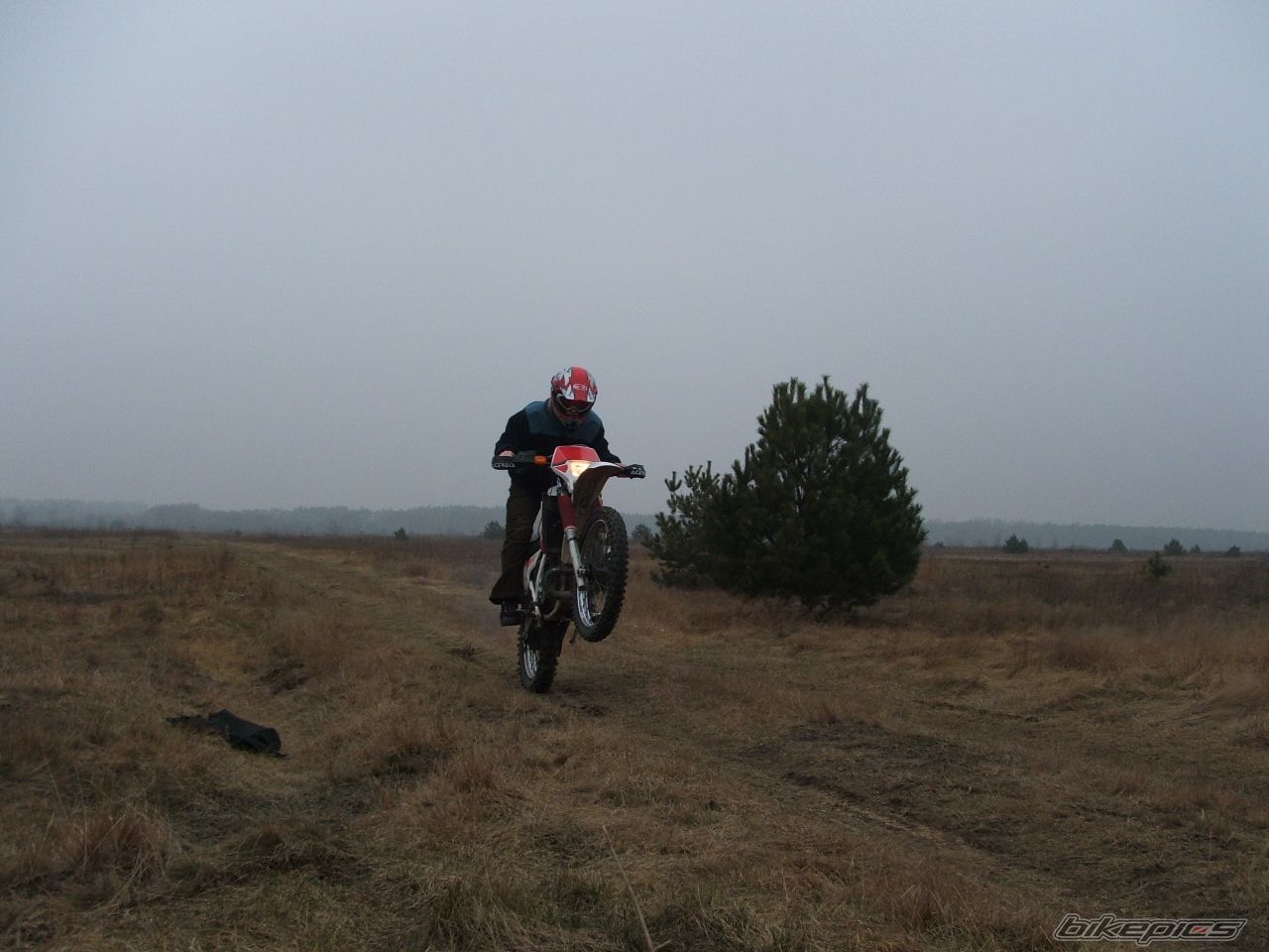 Photo 1191391