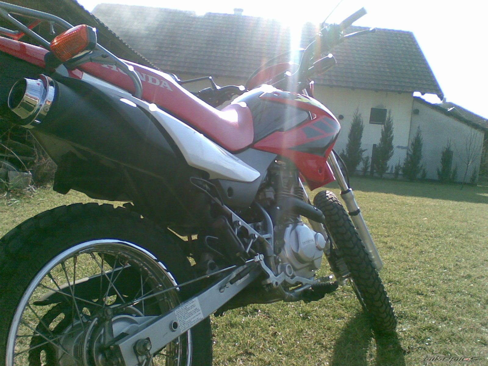 Photo 1191396