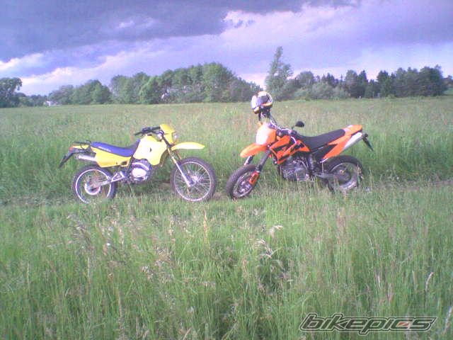 Photo 1191440