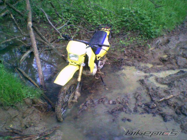 Photo 1191441