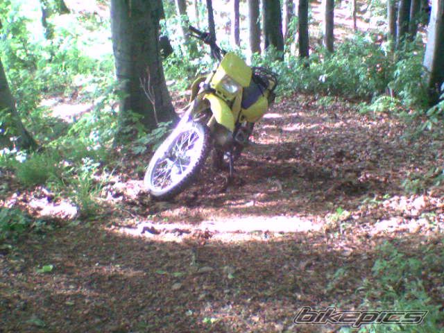 Photo 1191443