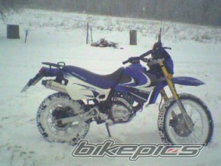 Photo 1191445