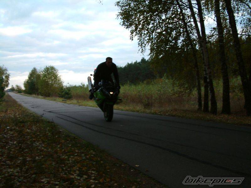 Photo 119153
