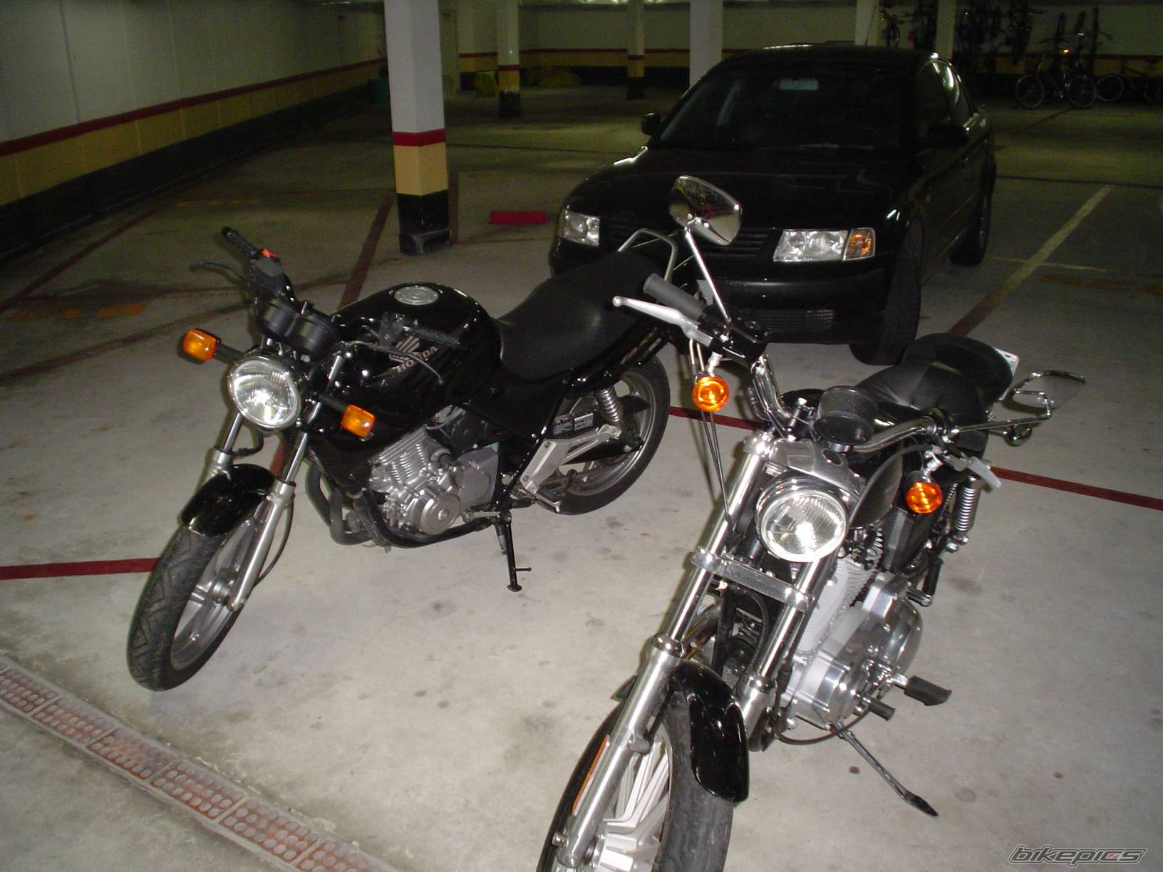Photo 119154