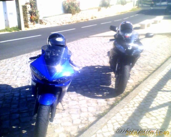 Photo 1191713