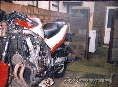 Photo 11918