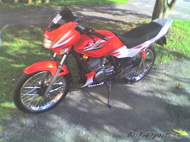 Photo 1192054