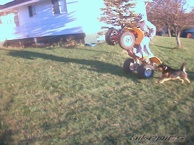 Photo 119211