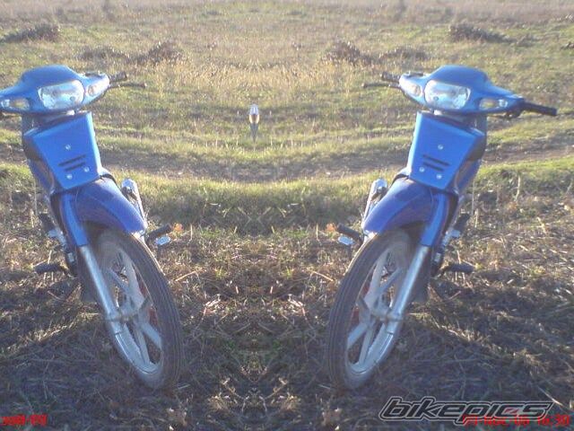 Photo 1192292