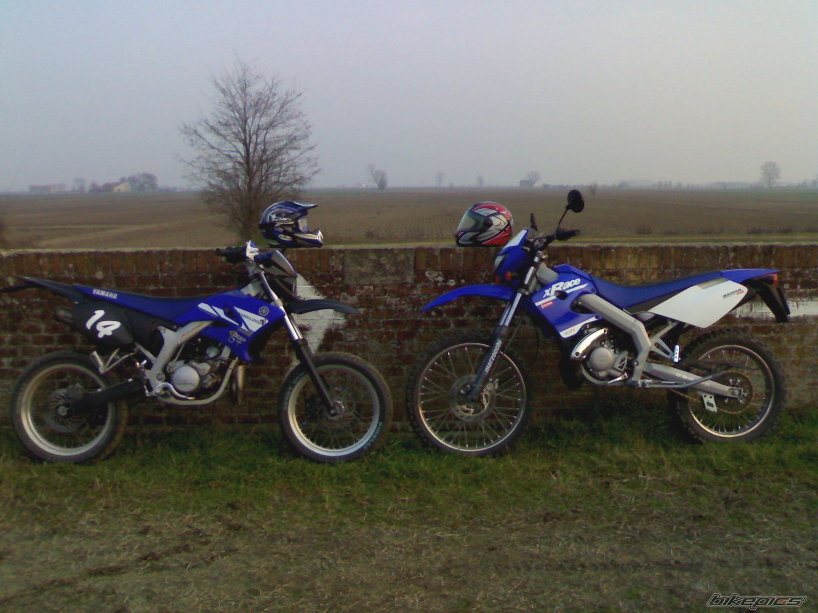 Photo 1192437