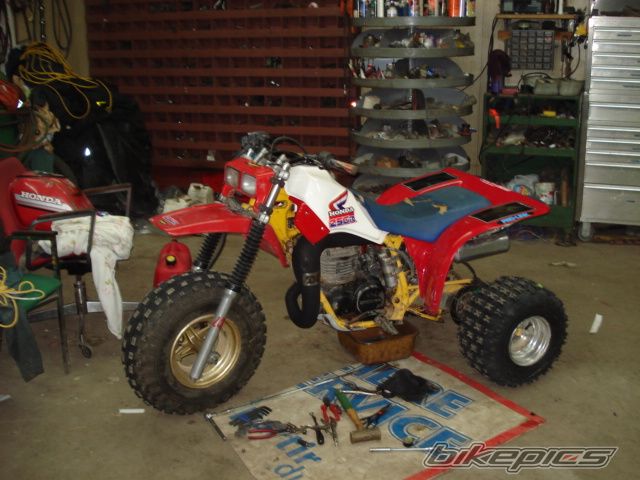 Photo 1192663
