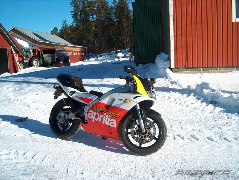 Photo 119280