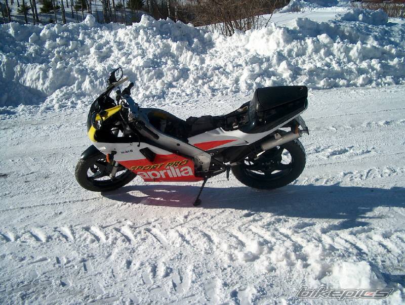 Photo 119281