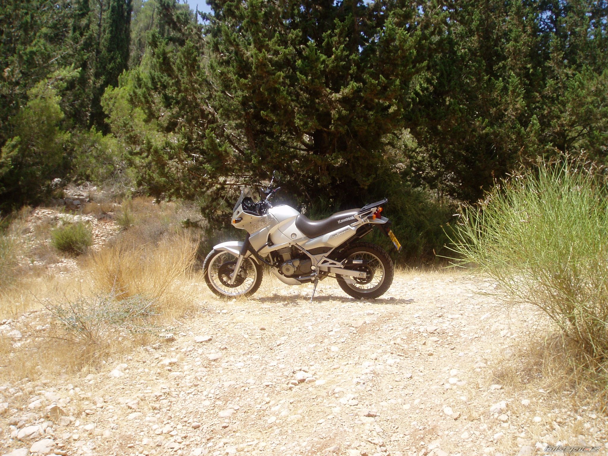 Bike Photo 1192829