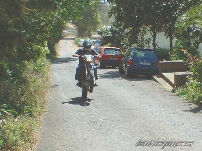 Photo 119307